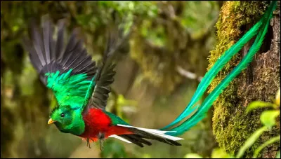 Un indice : on y parle l'Espagnol !