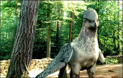 Tu dois choisir un animal. Quel animal choisis-tu ?