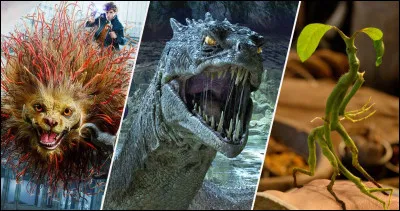 Quelle créature trouves-tu la plus mignonne ?