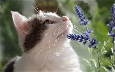 Es-tu content(e) que ce test soit terminé ?