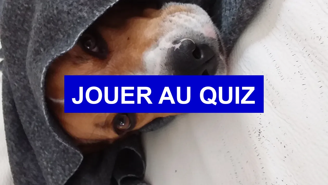 Quiz Stranger Things