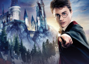 Quiz Si tu arrives  nommer ces 30 personnages de Harry Potter, tu es un fan extrme !