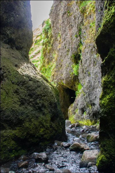 Choisissez l'écriture correcte :