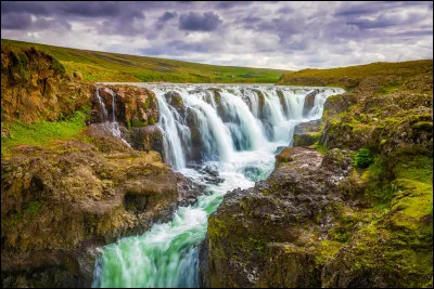 Choisissez l'écriture correcte :