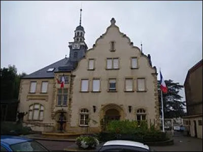 Amnéville est une commune située dans le département de Meurthe-et-Moselle.