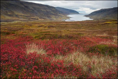 Choisissez l'écriture correcte :