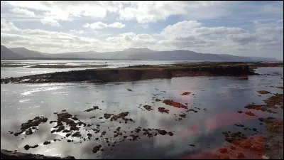 Choisissez l'écriture correcte :