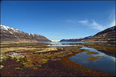 Choisissez l'écriture correcte :