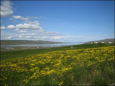 Choisissez l'écriture correcte :