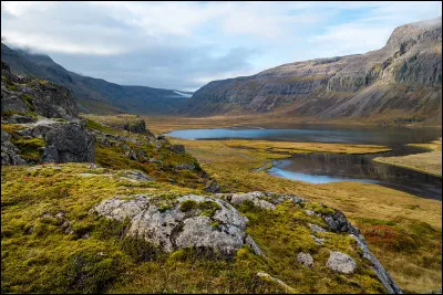 Choisissez l'écriture correcte :