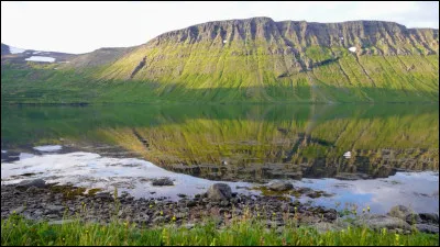 Choisissez l'écriture correcte :