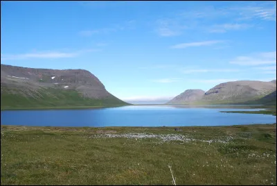 Choisissez l'écriture correcte :