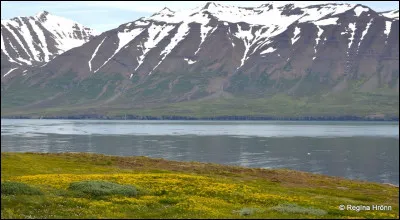 Choisissez l'écriture correcte :