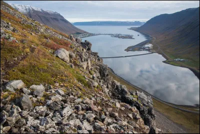 Choisissez l'écriture correcte :