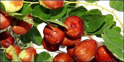 Le nom de ce fruit comporte deux fois la lettre J !