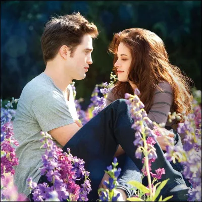 Aimerais-tu devenir un vampire ?