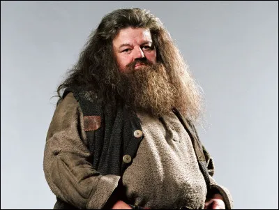 Aimes-tu Hagrid ?