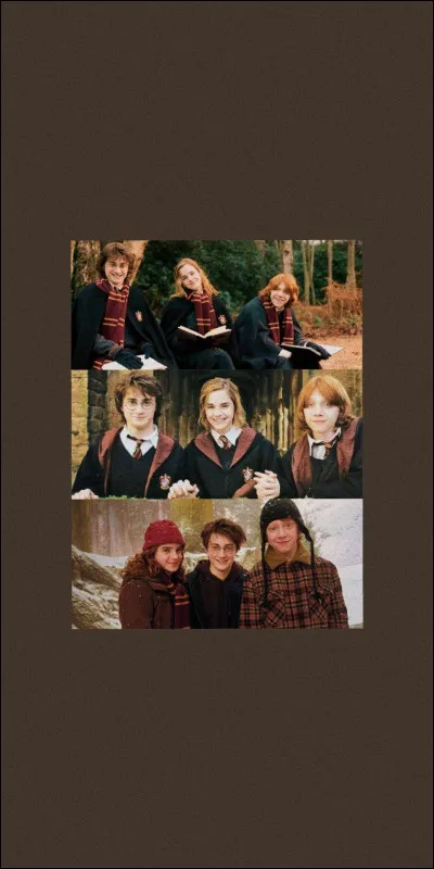 Et aimes-tu les licornes ?