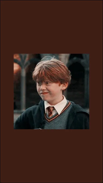 Aimes-tu les Weasley ?