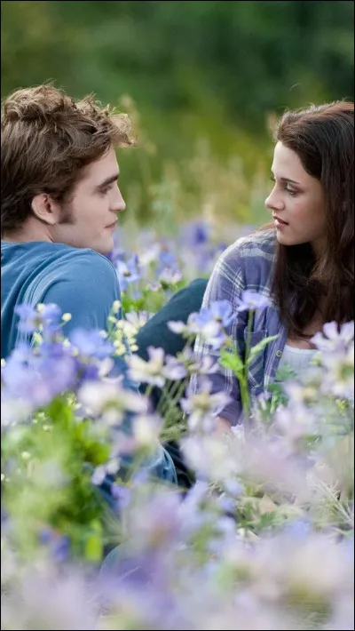 Trouves-tu Edward Cullen beau ?