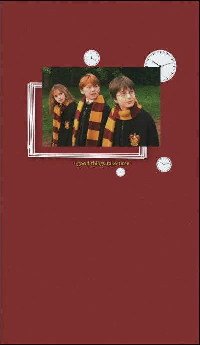 Quel est ton personnage préféré entre Harry Potter et Bella Swan ?