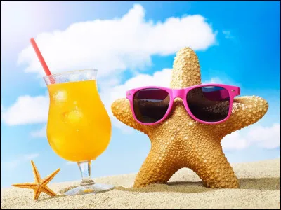 Réponds en espagnol. On est en mai, et ça fait longtemps qu'on n'a pas voyagé. Quand voudrais-tu aller en vacances ?