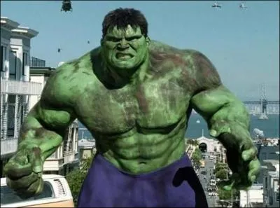 Dans quel pays se rfugie Bruce Banner, alias Hulk,  la fin du film d'Ang Lee ?