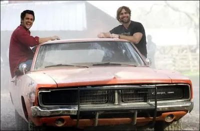 Quel est le lien de parent entre Bo et Luke Duke de la srie et du film 'Shrif, fais-moi peur ! ' ?