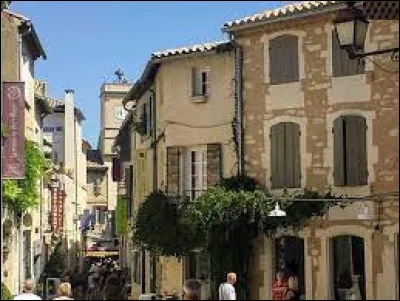 Cette ville des Bouches-du-Rhône, peuplée de 9500 habitants, petite capitale des Alpilles, c'est Saint-Rémy de ...