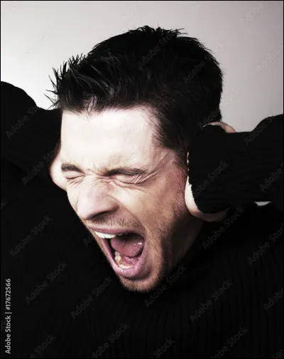 Finalement, tu as hurlé et tu es viré du groupe. Tu...