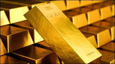 Ce chien a un beau poil.