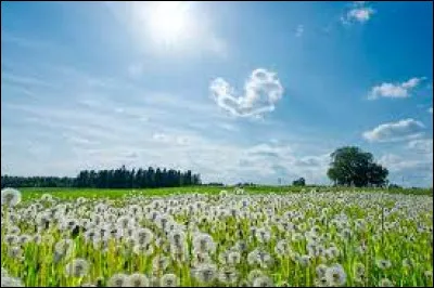 Que fête-t-on le 21 juin tous les ans ?