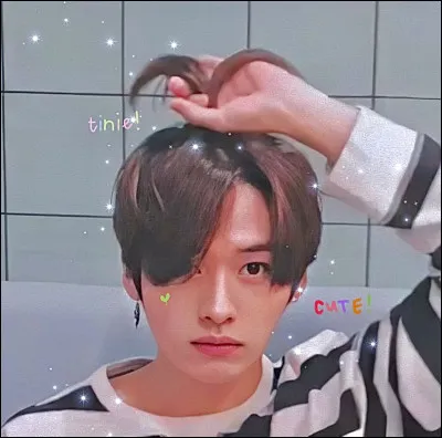 Quel est le nom de famille de Lee Know ?