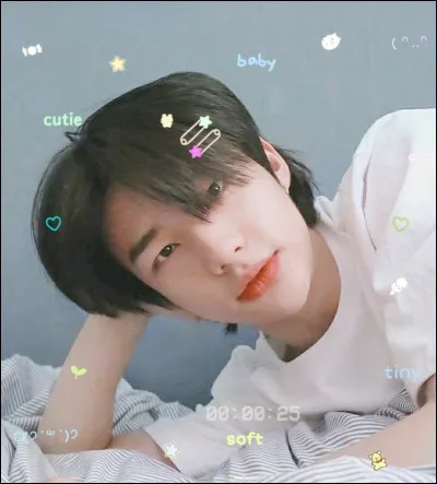 Quel est le nom de famille de Hyunjin ?
