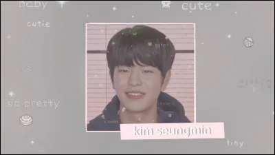 Quel est le nom de famille de Seungmin ?