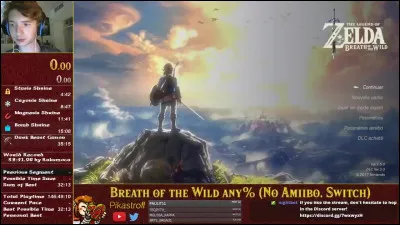 Quel est l'exploit de Gymnast86 pour finir Totk en Any%