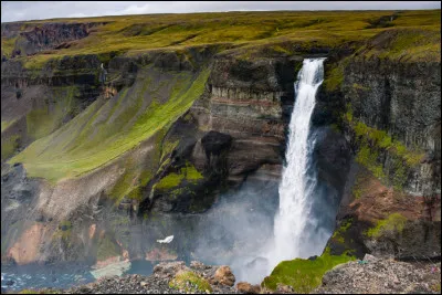 Choisissez l'écriture correcte :
