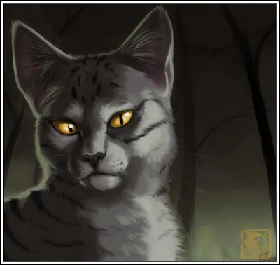 À quel clan appartient Éclair Noir ?