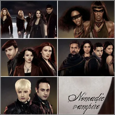 Et enfin, à quel aimerais-tu appartenir ? (2/2)