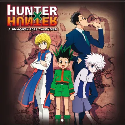 Comment s'appellent les amis de Gon, dans "Hunter × Hunter" ?