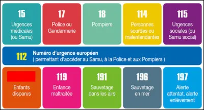 En cas de disparition d'un enfant mineur (fugue, disparition inquiétante, enlèvement parental), quel numéro de téléphone la famille peut-elle appeler pour être aidée ?