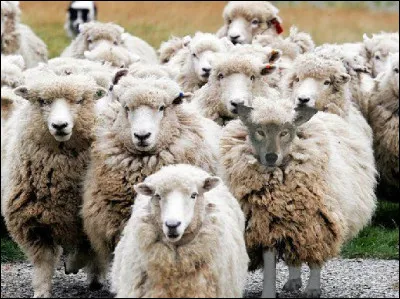 Trouvez l'intrus ! !