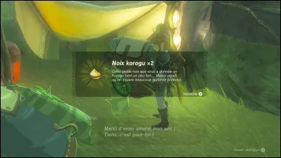 Combien de noix Korugu faut-il pour avoir la sacoche remplie au maximum ?