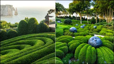 Cet homme est un joueur !