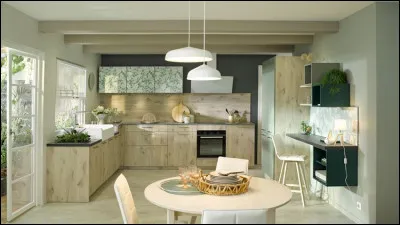 De quel siècle la première poêle à bois date-t-elle ?