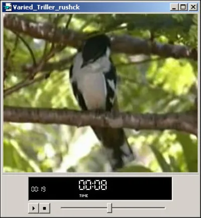 Quand est-ce que le streaming a été inventé ?