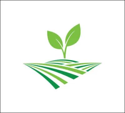 Quelle est la première culture agricole à Madagascar ?