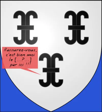 Il faut toujours qu'il y en ait un qui la ramène, évidemment !