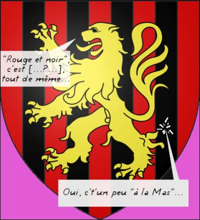 Un blason fautif*, mais qui s'en plaindra ? Trouvez plutôt le nom de ce village !