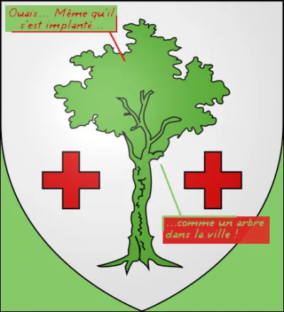 Un(e) autre célèbre chanteur/se habite dans le Loir-et-Cher, dans le village de Périgny : qui est-ce ?